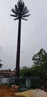 ごまかされたコミュニケーション マツ ヤシの木 タワー0m - 80mの高さ