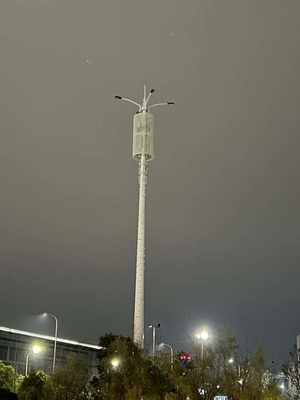 Q345ブラケットが付いている鋼鉄電流を通されたマスト タワー ポーランド人